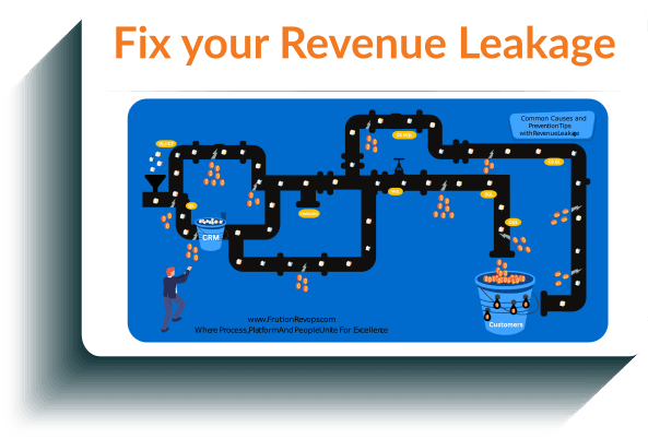 Fix your Revenue Leakage | Fruition RevOps Services
