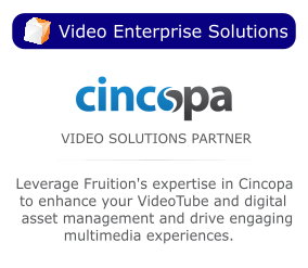 CincoTube Fruition RevOPs Partners | Build your own VideoTube